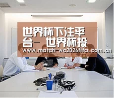 研发能力标题二