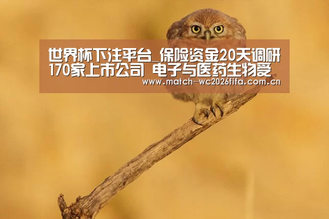 世界杯下注平台