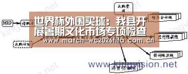世界杯外围买球:我县开展暑期文化市场专项检查行动(图3) 世界杯外围买球