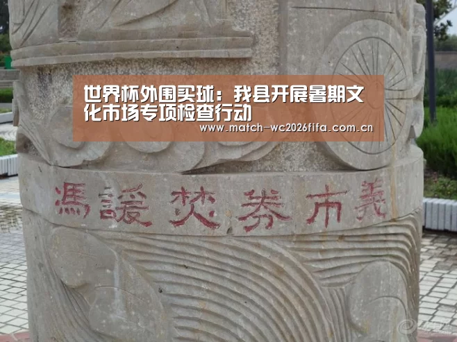 世界杯外围买球:我县开展暑期文化市场专项检查行动(图1) 世界杯投注站